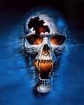 pic for Metal Blue Skull